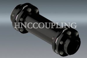 Double Diaphragm Coupling