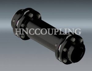 Double Diaphragm Coupling