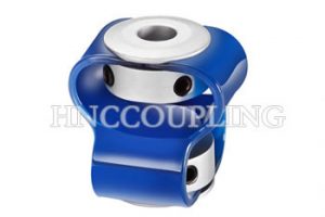 Double Loop Coupling China