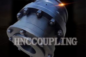 GICL Gear Coupling