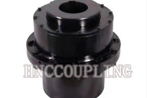 GICLZ Coupling