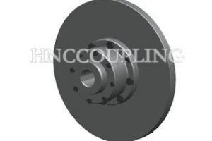 Gear Coupling With Brake Disc