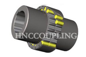 LZ Pin Flexible Coupling