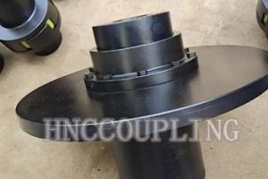 WGP with brake disc tooth coupling 2