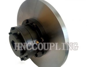 WGP with brake disc tooth coupling