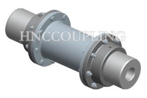 WGT Gear Coupling