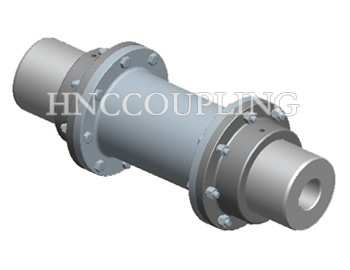 WGT Gear Coupling